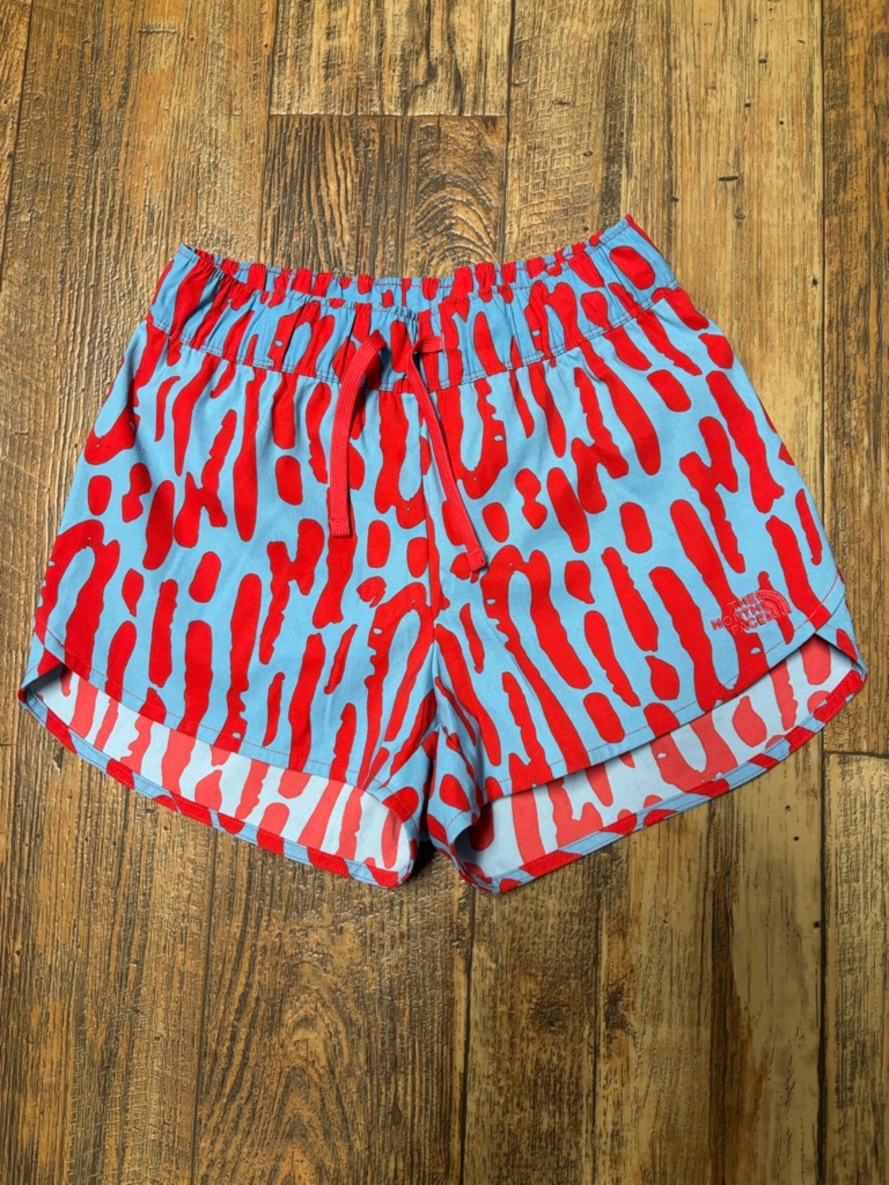 The North Face Women's class V shorts